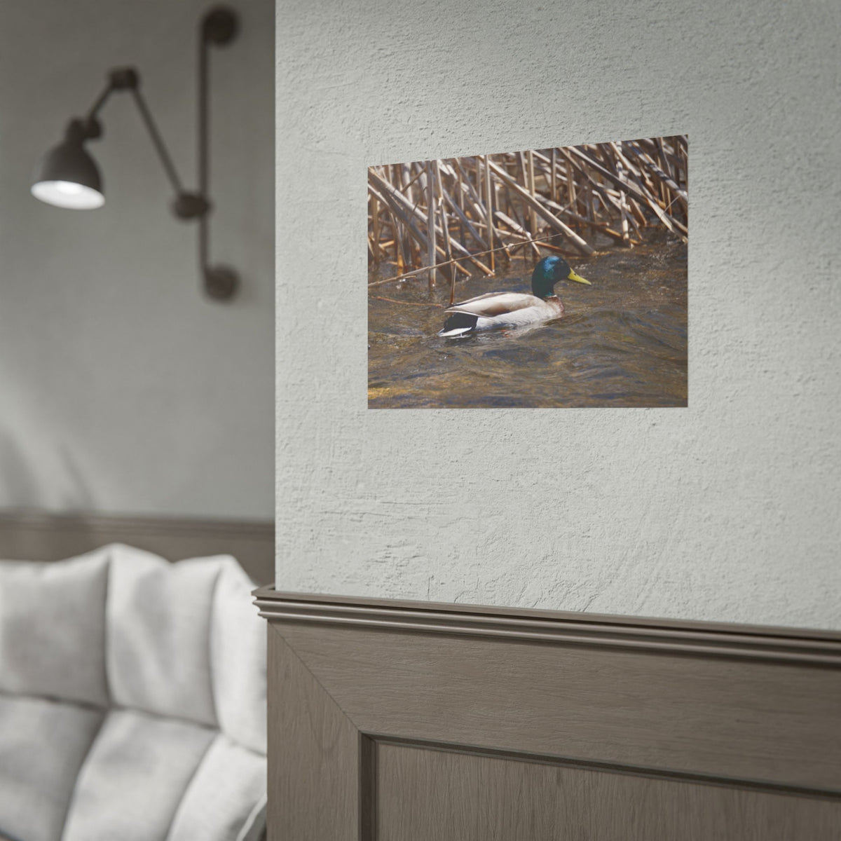 Mallard Duck Pond — Wildlife Nature Wall Art Poster