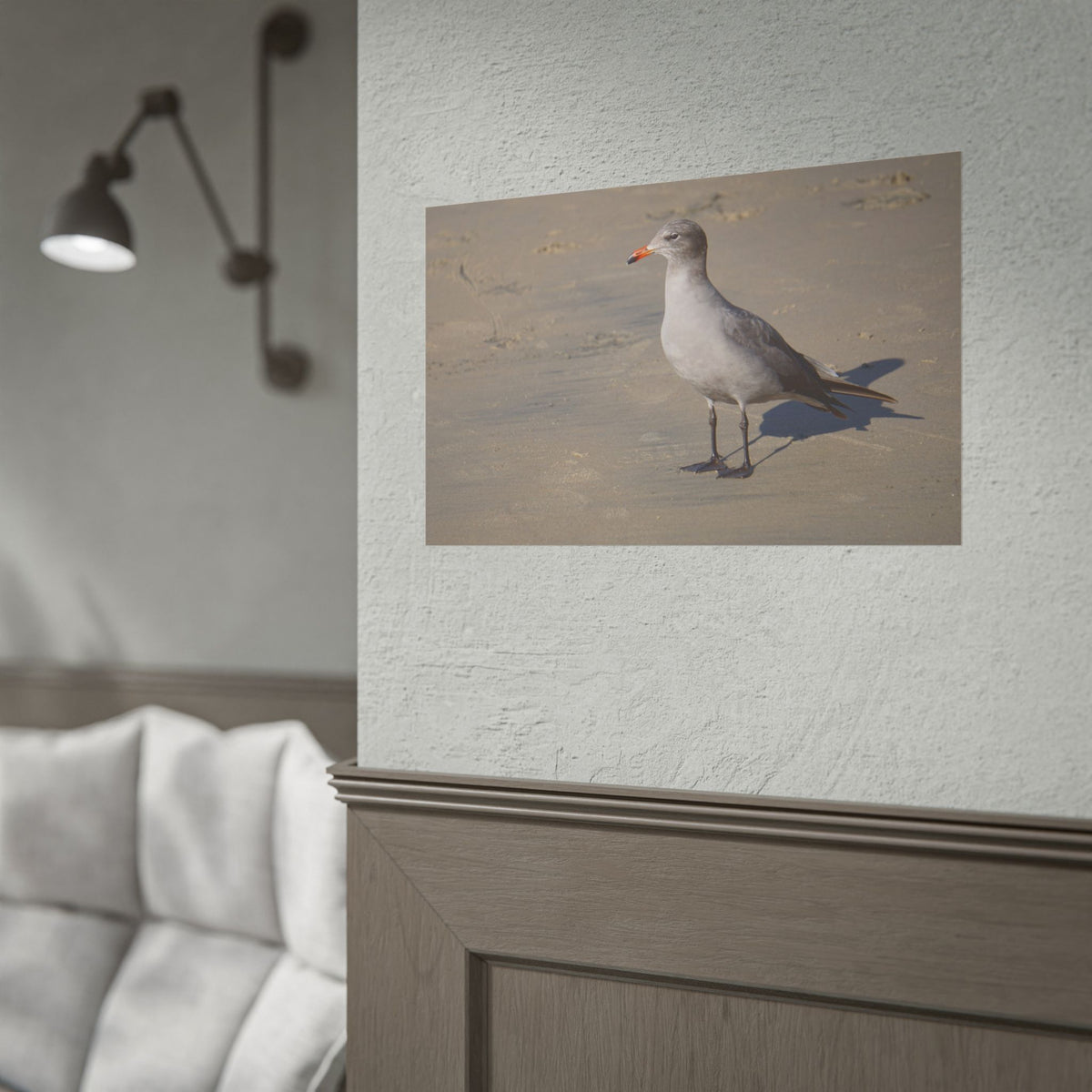Heermann's Gull — Coastal Wall Art Poster
