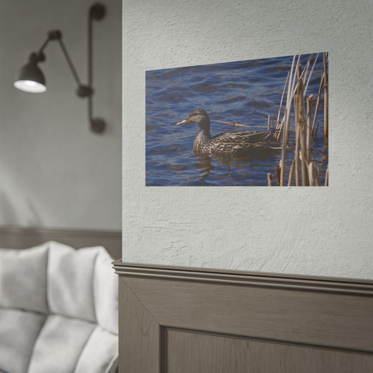 Female Mallard Duck Pond — Wildlife Nature Wall Art Poster