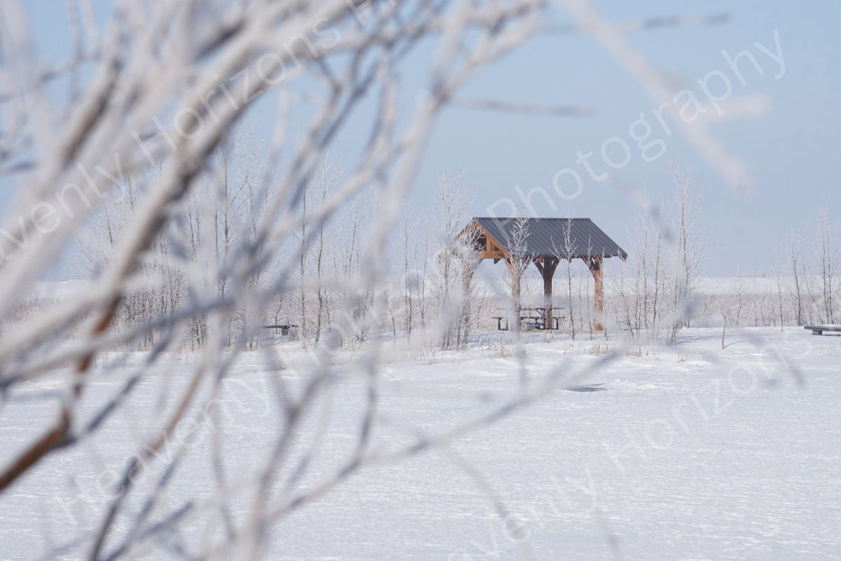 Winter Gazebo — Snowy Landscape Wall Art Poster